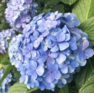 東海（桑名）教室　勉強会を開催しました。