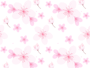 大学、大学院入学・ホテル入社　おめでとう‼